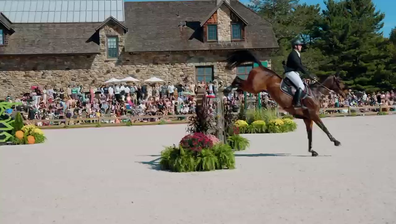A horse and rider jumping in front of a full lawn, 2025